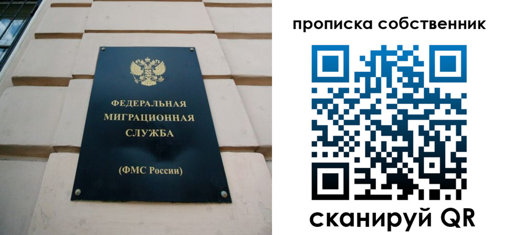 прописка законно в Курской области